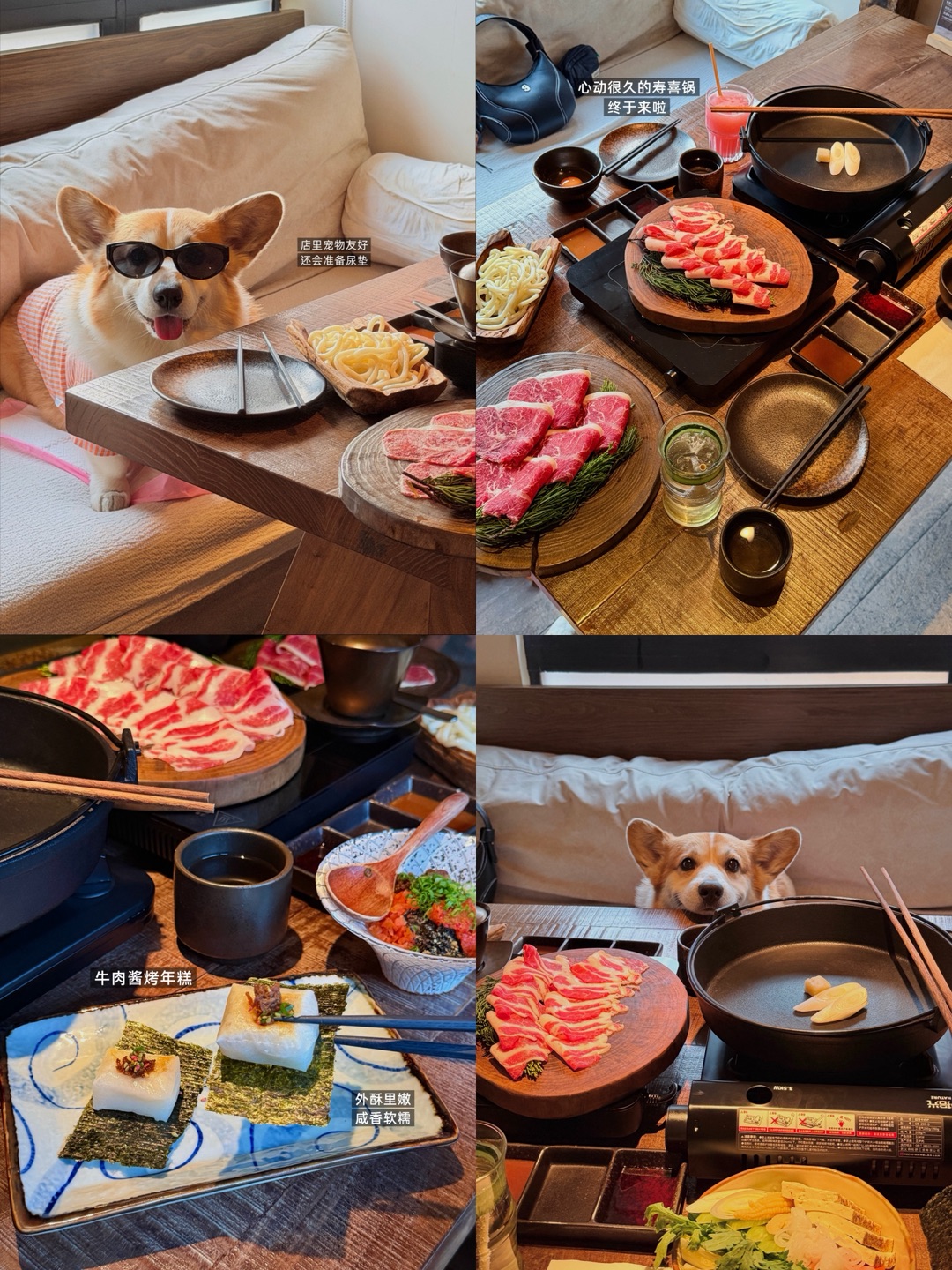 在新天地 | 和毛孩子一起吃关西寿喜烧🍲