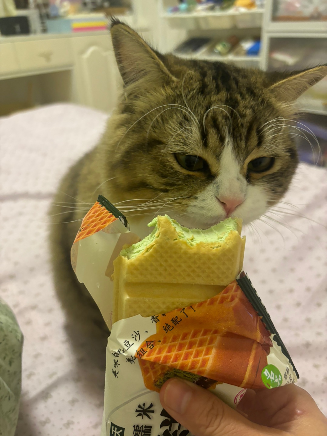 哈哈  ᖰ⌯'▾'⌯ᖳ~(＾◇^)/( ´ ▽ ` )ノヽ(^0^)ノ