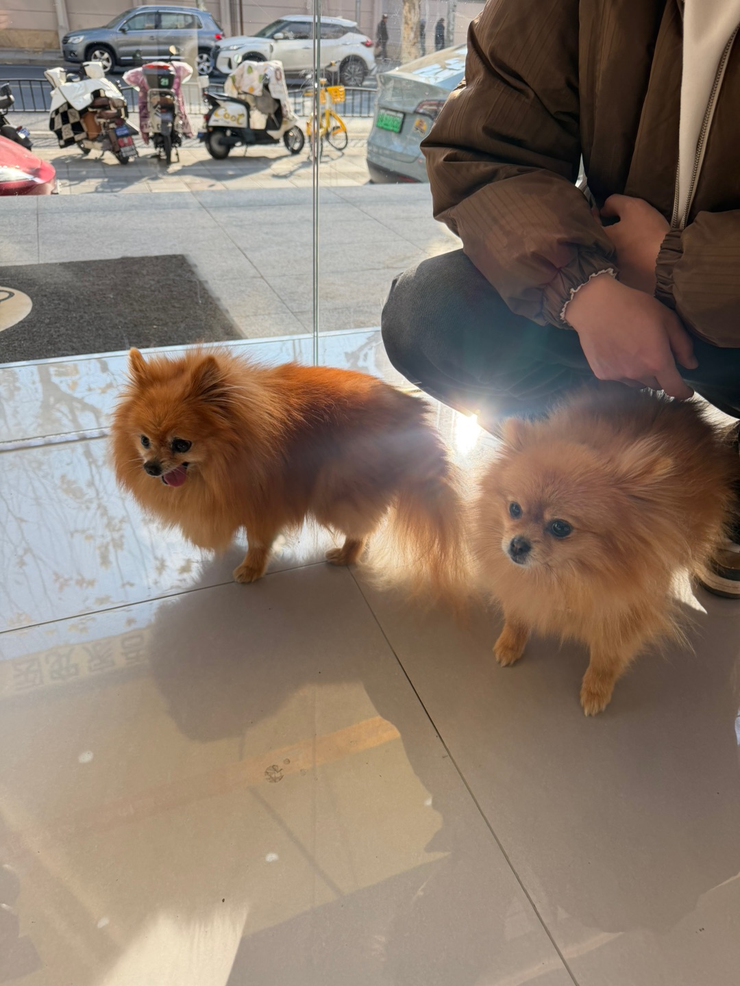 3岁小虎参见19岁大王！