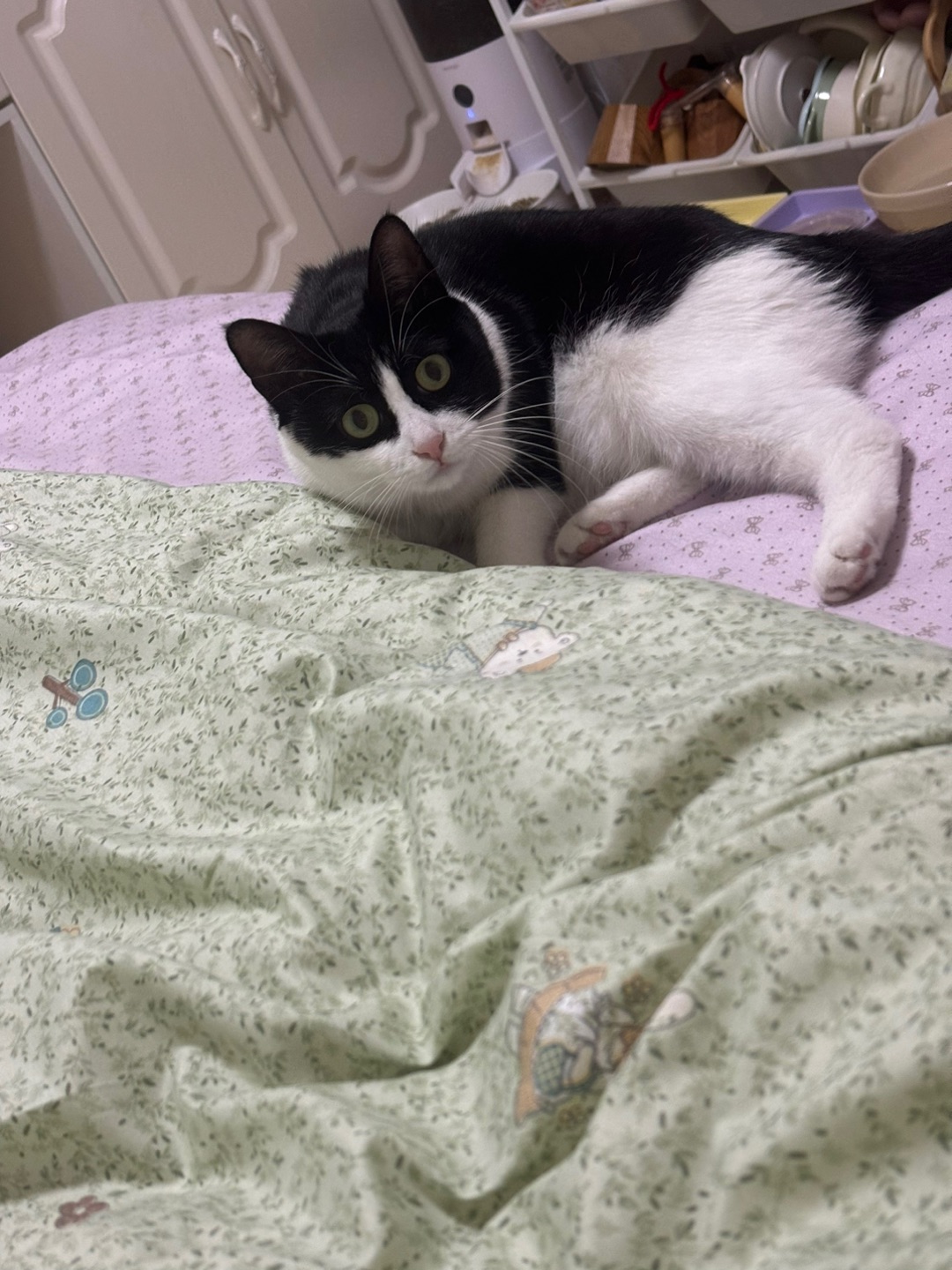 哈哈(*´・ｖ・)(^-^)/(*´▽｀)ノノ(^_^)ノ(*´▽｀)ノノ