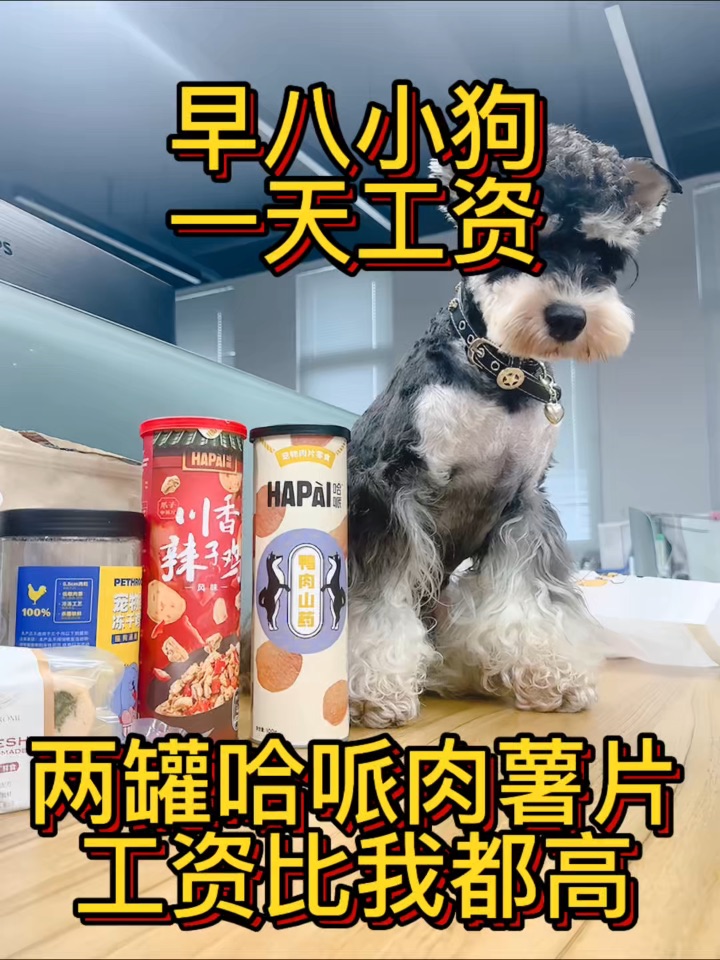 努力打工的小狗