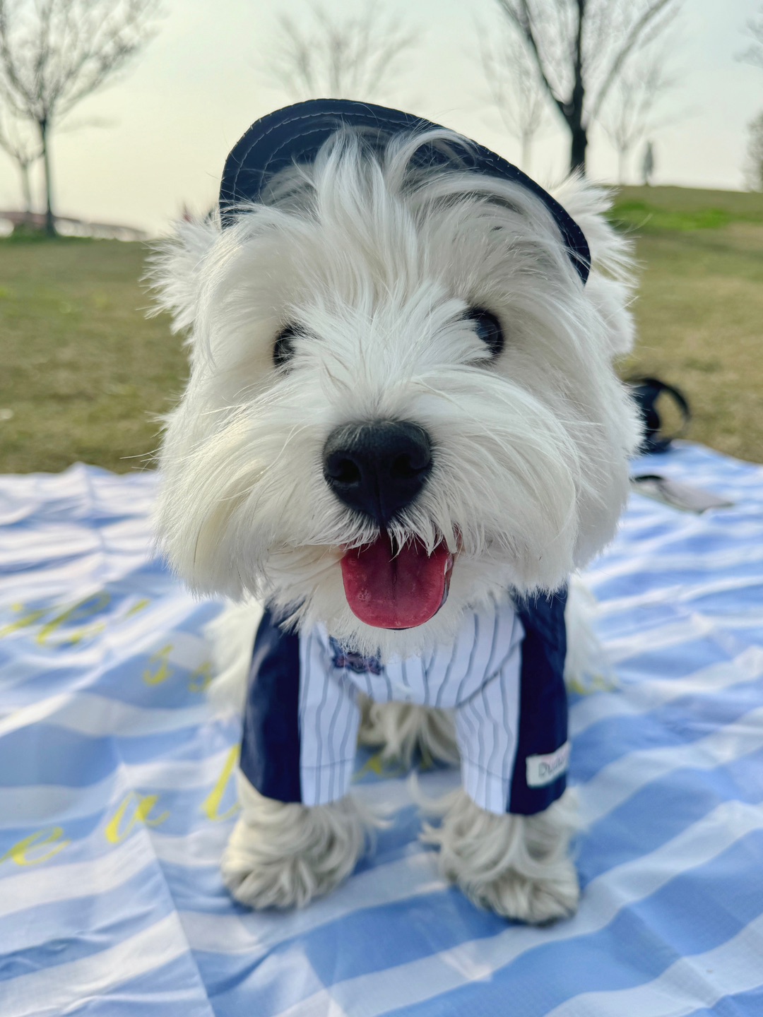 快快快加入我的棒球队！⚾️