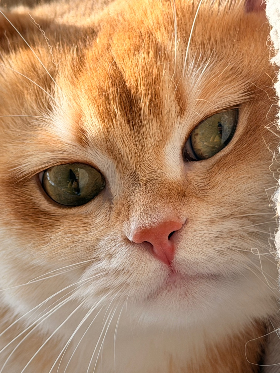 怼脸暴击！麻麻你手抖了吗？