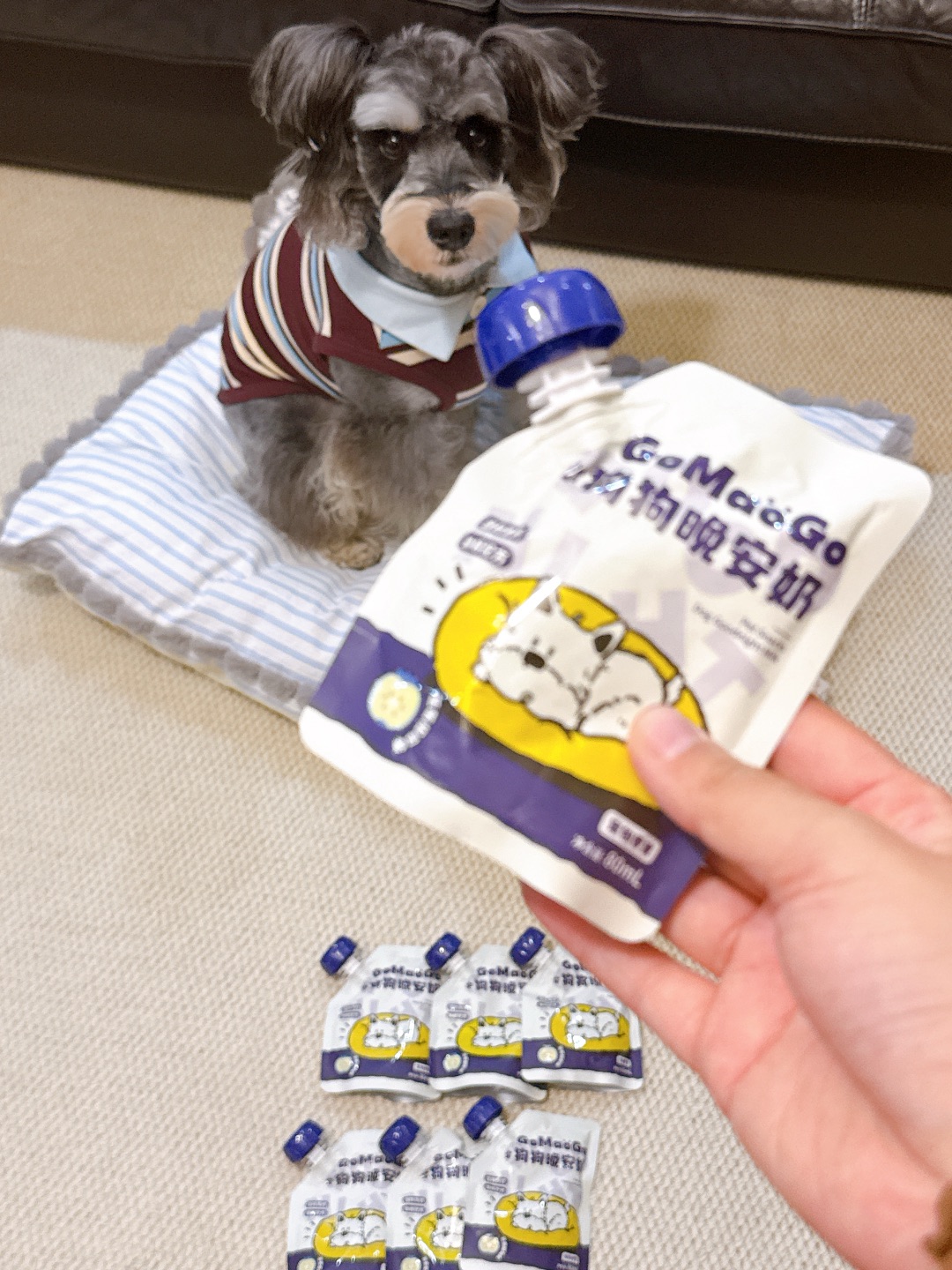 喝了neinei小狗才能睡香香