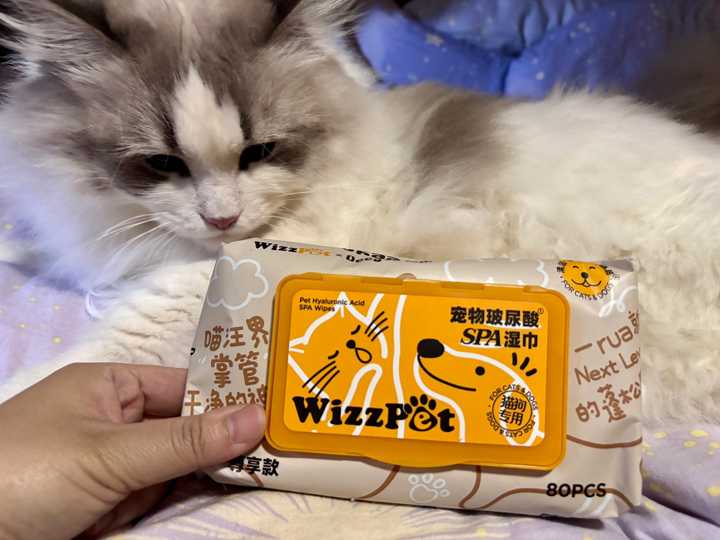 德佑宠物湿巾测评