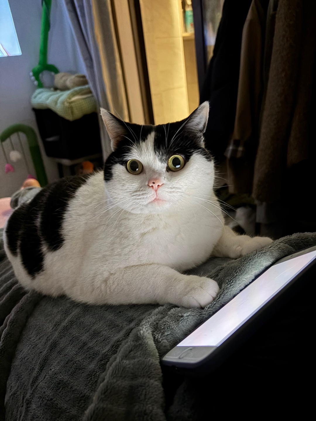 当我偷看电视被发现belike