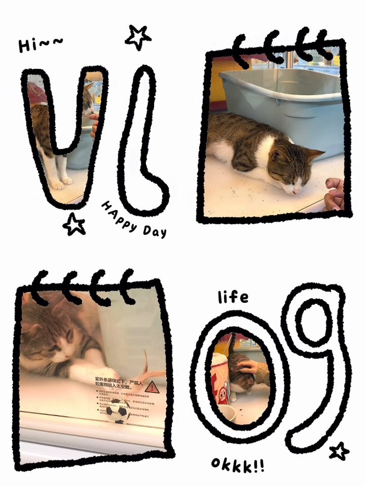 欢迎收看性感女神粘人的一天 vlog