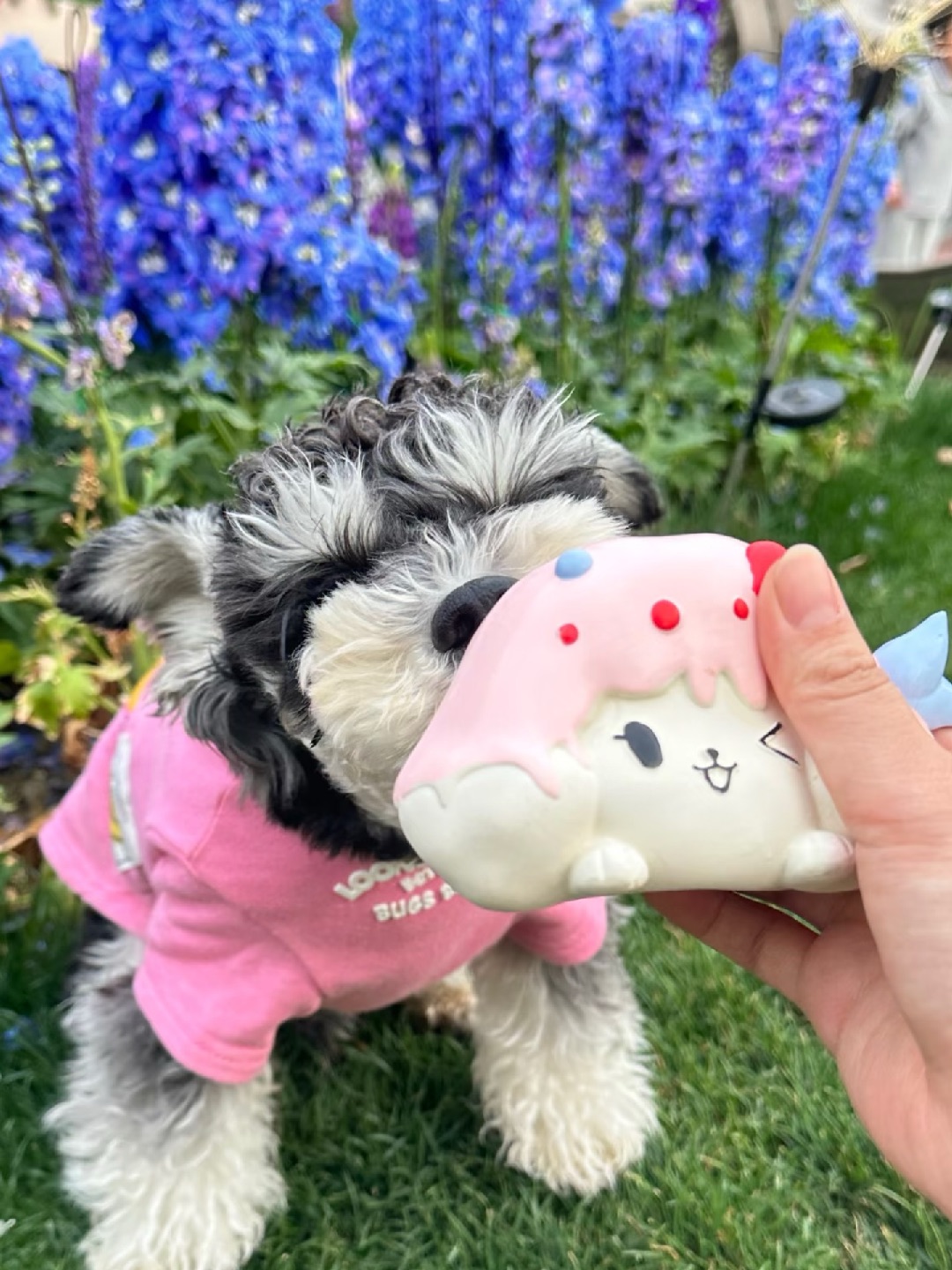 看小狗撅个大腚干啥呢