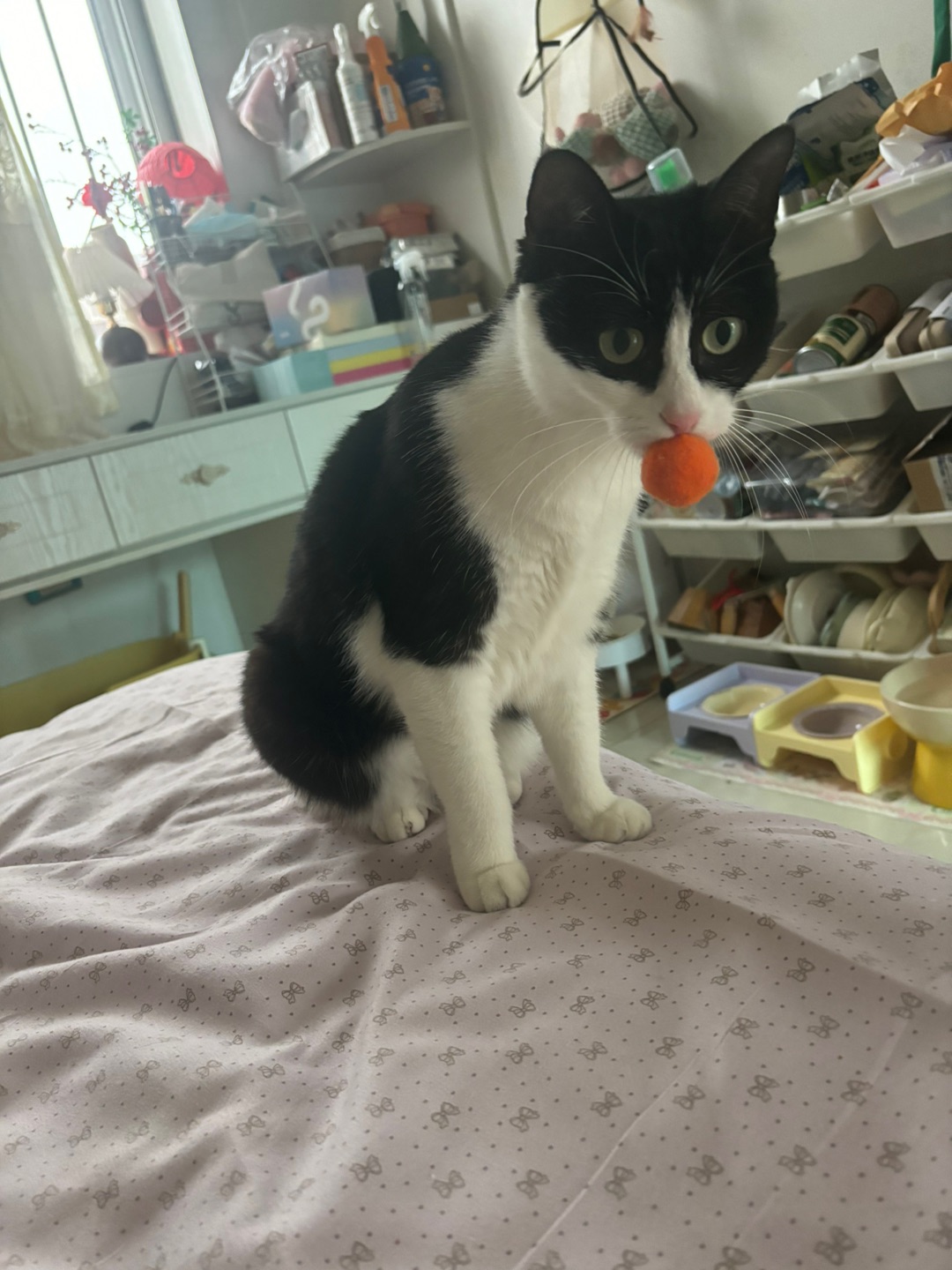 哈哈(*´・ｖ・)(^-^)/(*´▽｀)ノノ(^_^)ノ(*´▽｀)ノノ