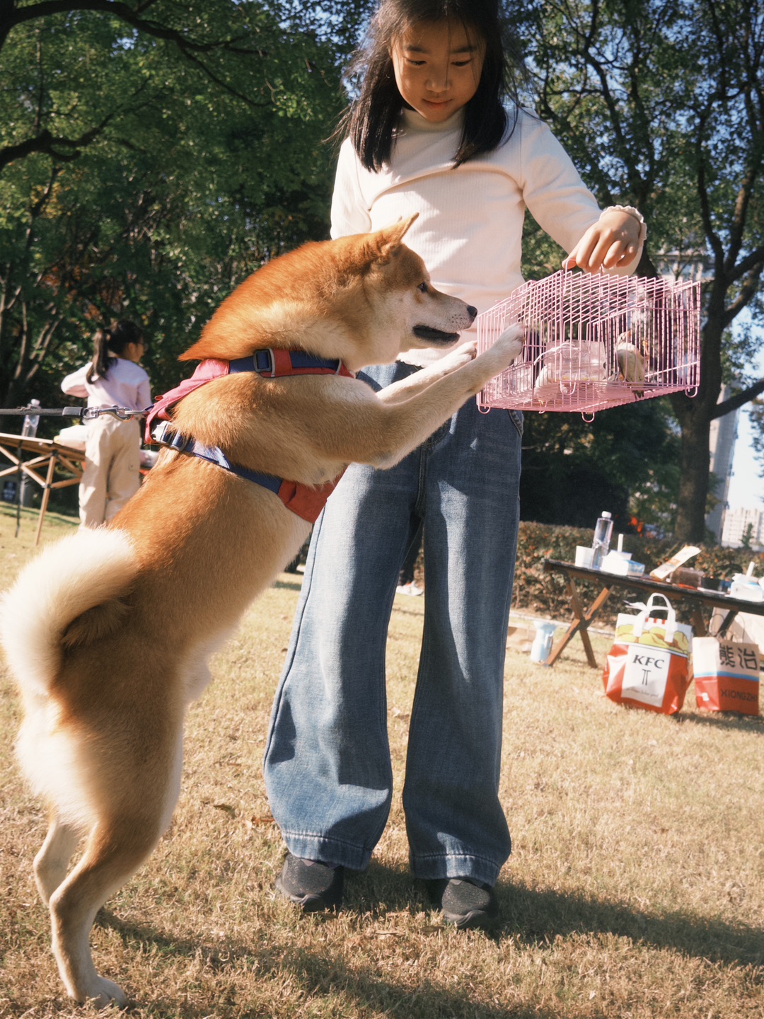 快点叫你妈带你出来