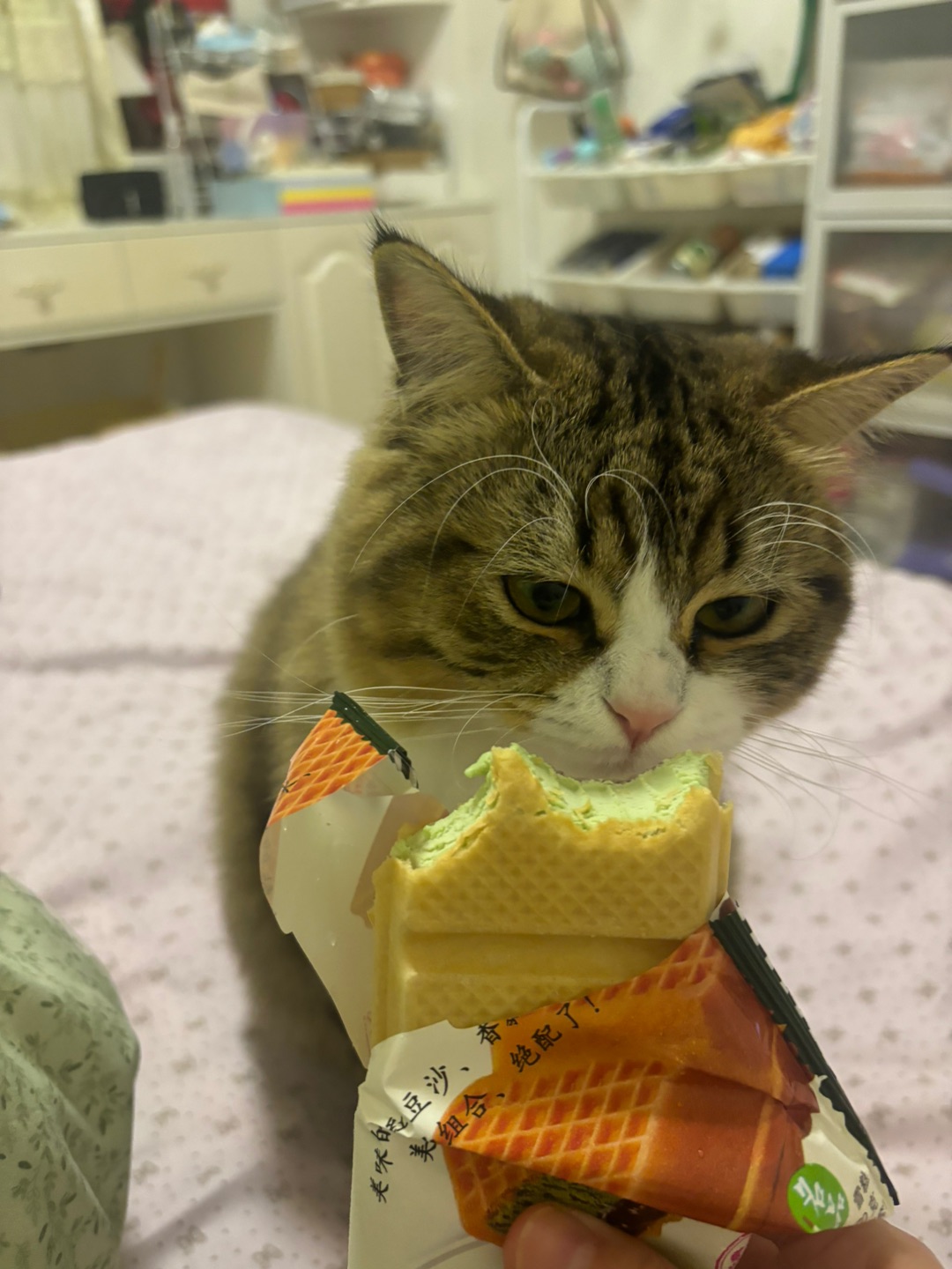 哈哈(*´・ｖ・)(^-^)/(*´▽｀)ノノ(^_^)ノ(*´▽｀)ノノ