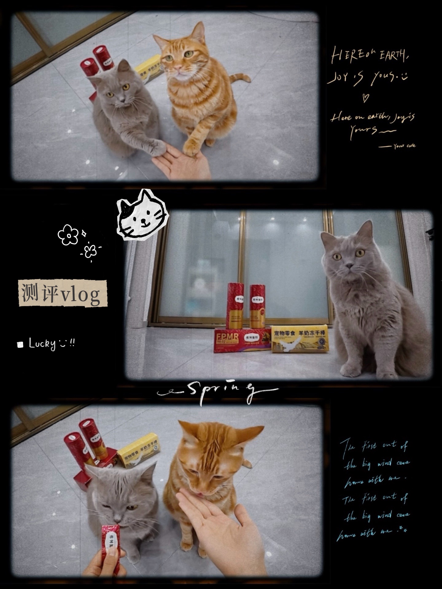 好用大合集测评来啦