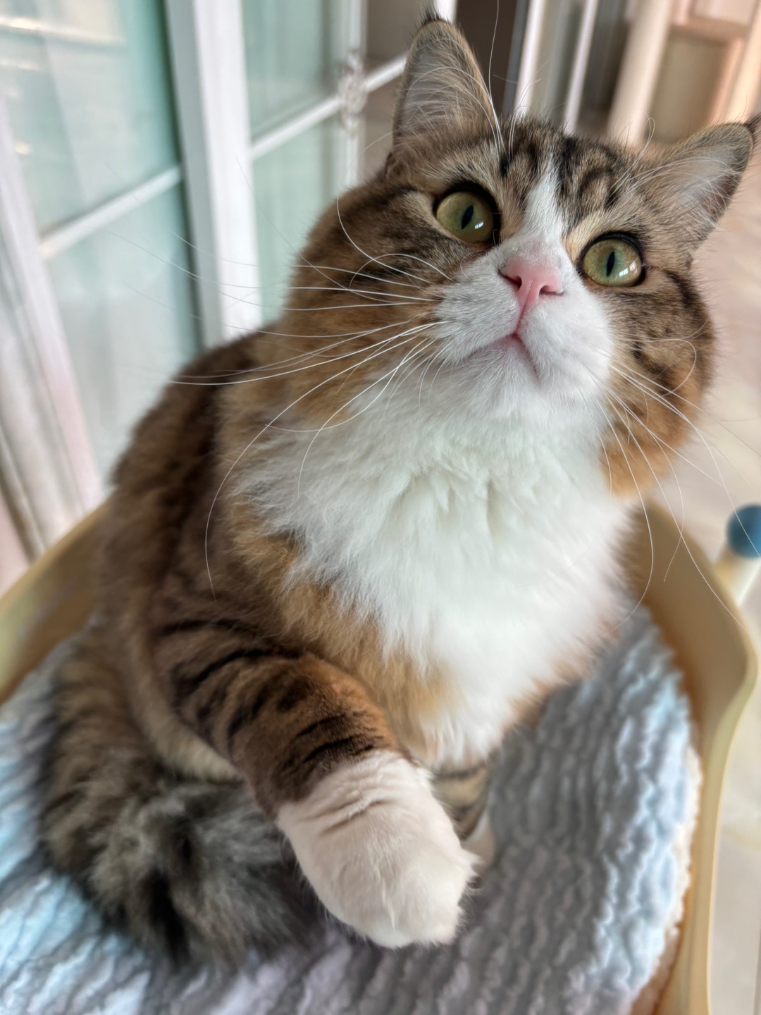 哈哈(*´・ｖ・)(*´▽｀)ノノHi~ o(*￣▽￣*)ブ~(＾◇^)/