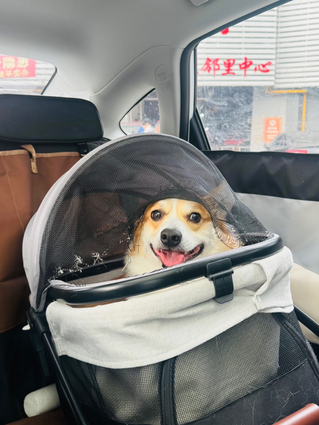 妈妈已经三天没打我了