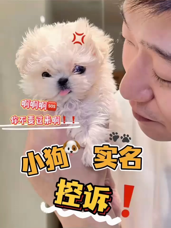 本小狗🐶实名控诉❗️我到底要忍到什么时候💢
