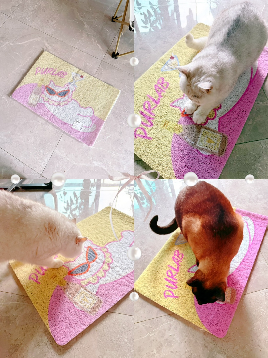 今日收获：可爱地垫一张！