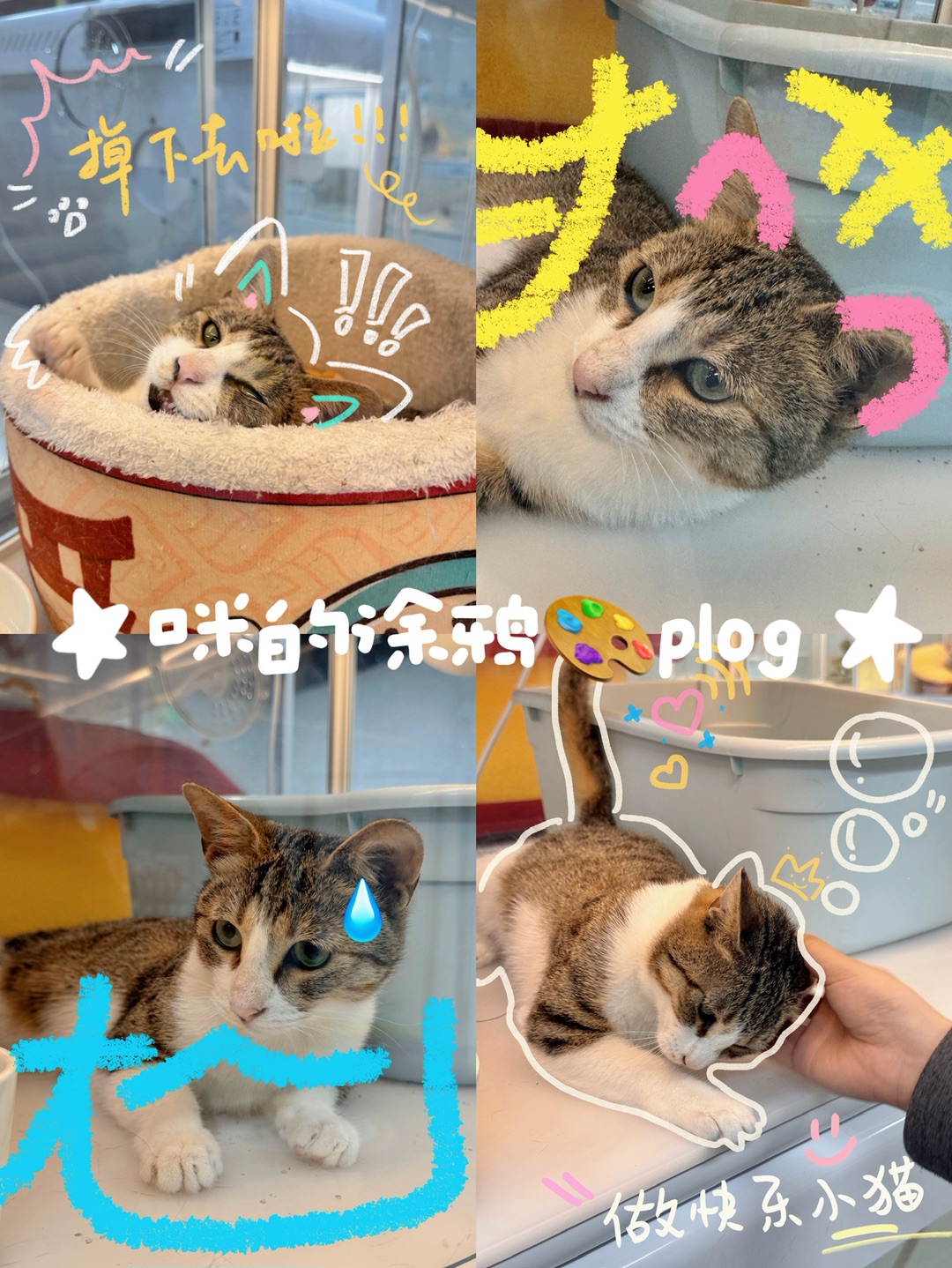 🎨用涂鸦的方式打开咪的一天