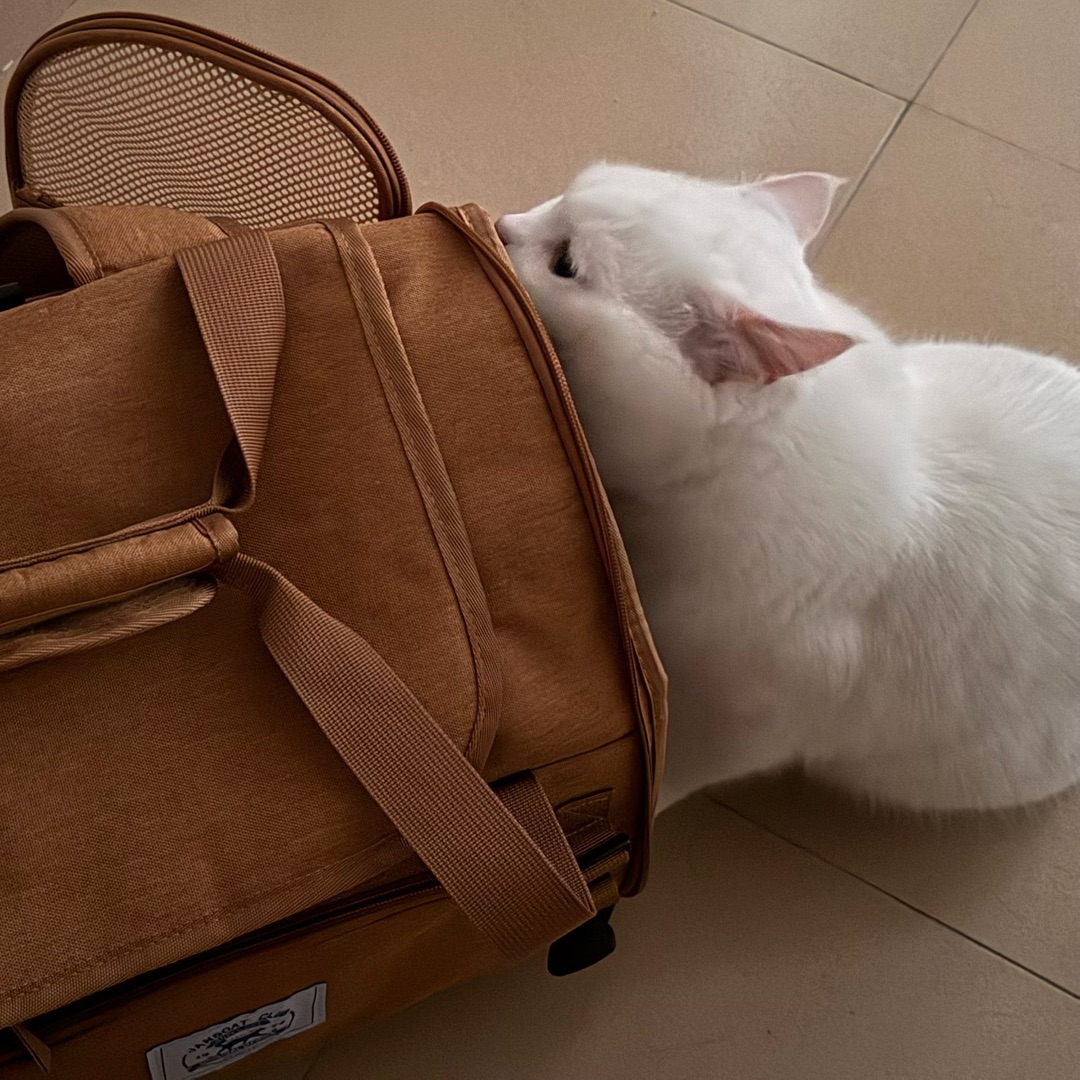 测评 | ostracod宠物外出便携包