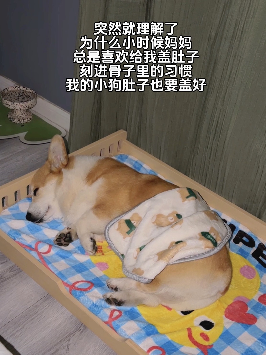 突然就理解了为什么小时候妈妈喜欢给我盖肚子