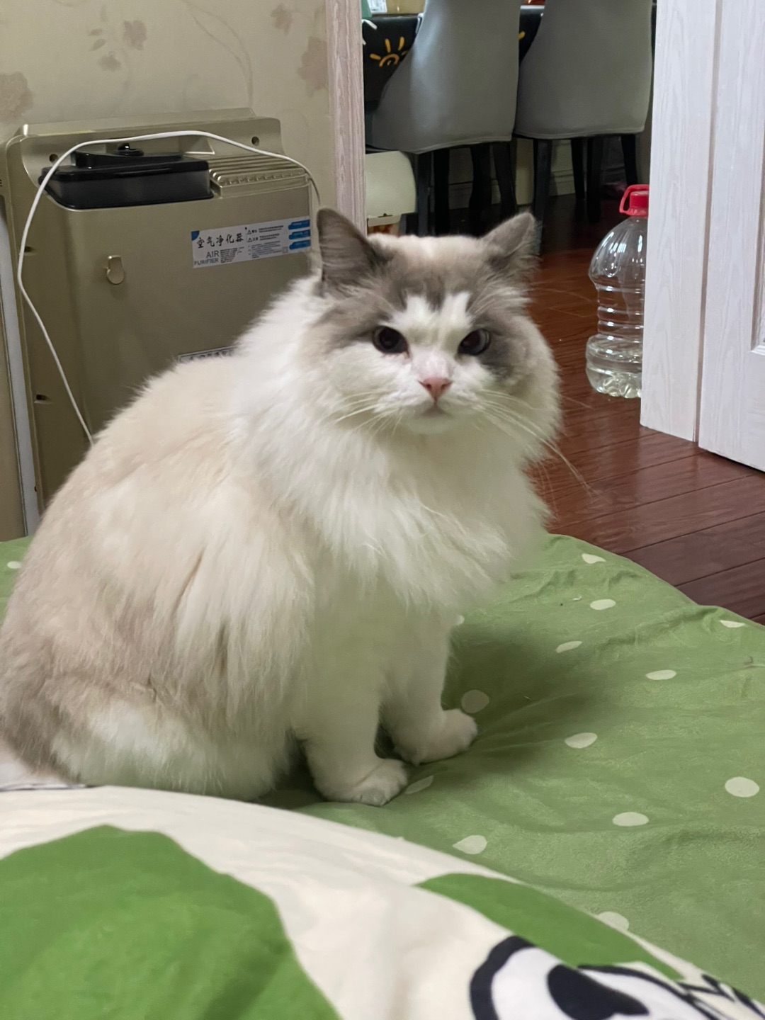 哈哈哈哈哈我的天啊哈哈啊哈哈啊哈哈哈哈哈哈哈哈哈哈哈哈哈啊哈哈哈