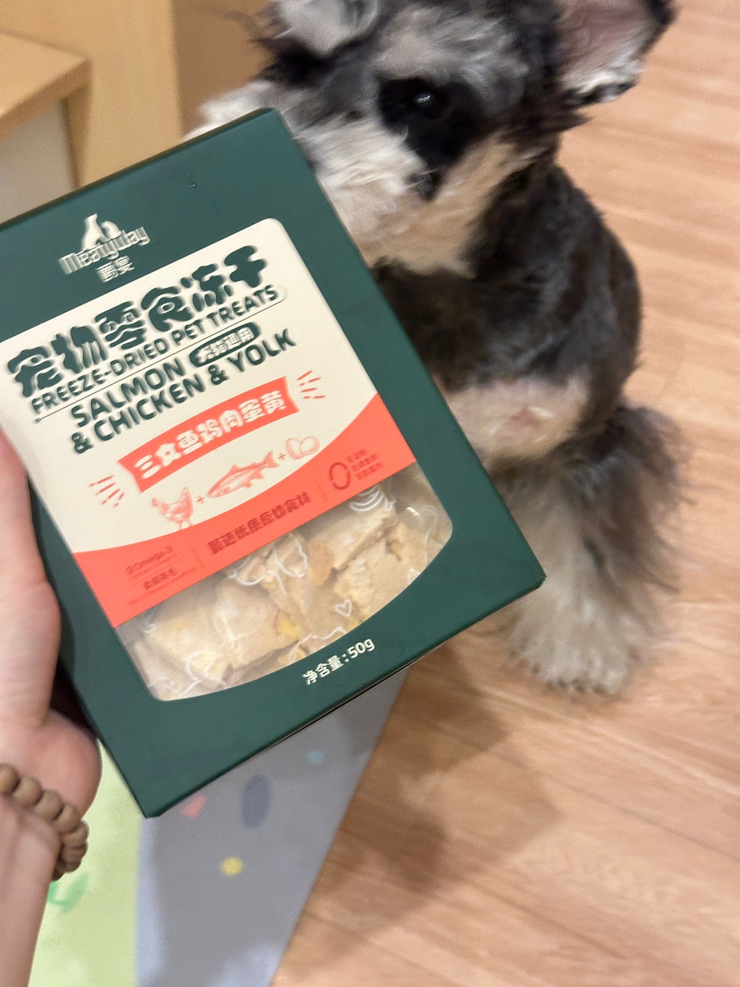 努力的小狗有粮吃