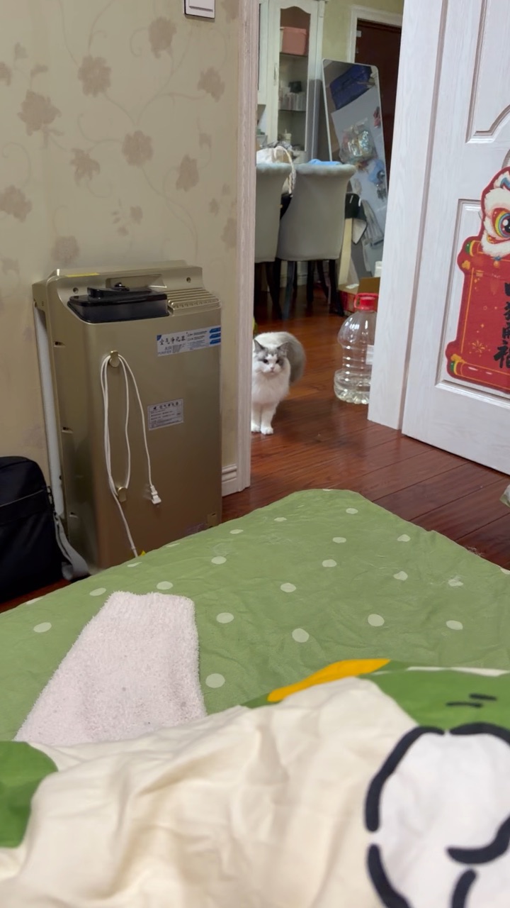 好乖好乖  宝宝一叫就来简直太可爱啦哈哈哈哈哈