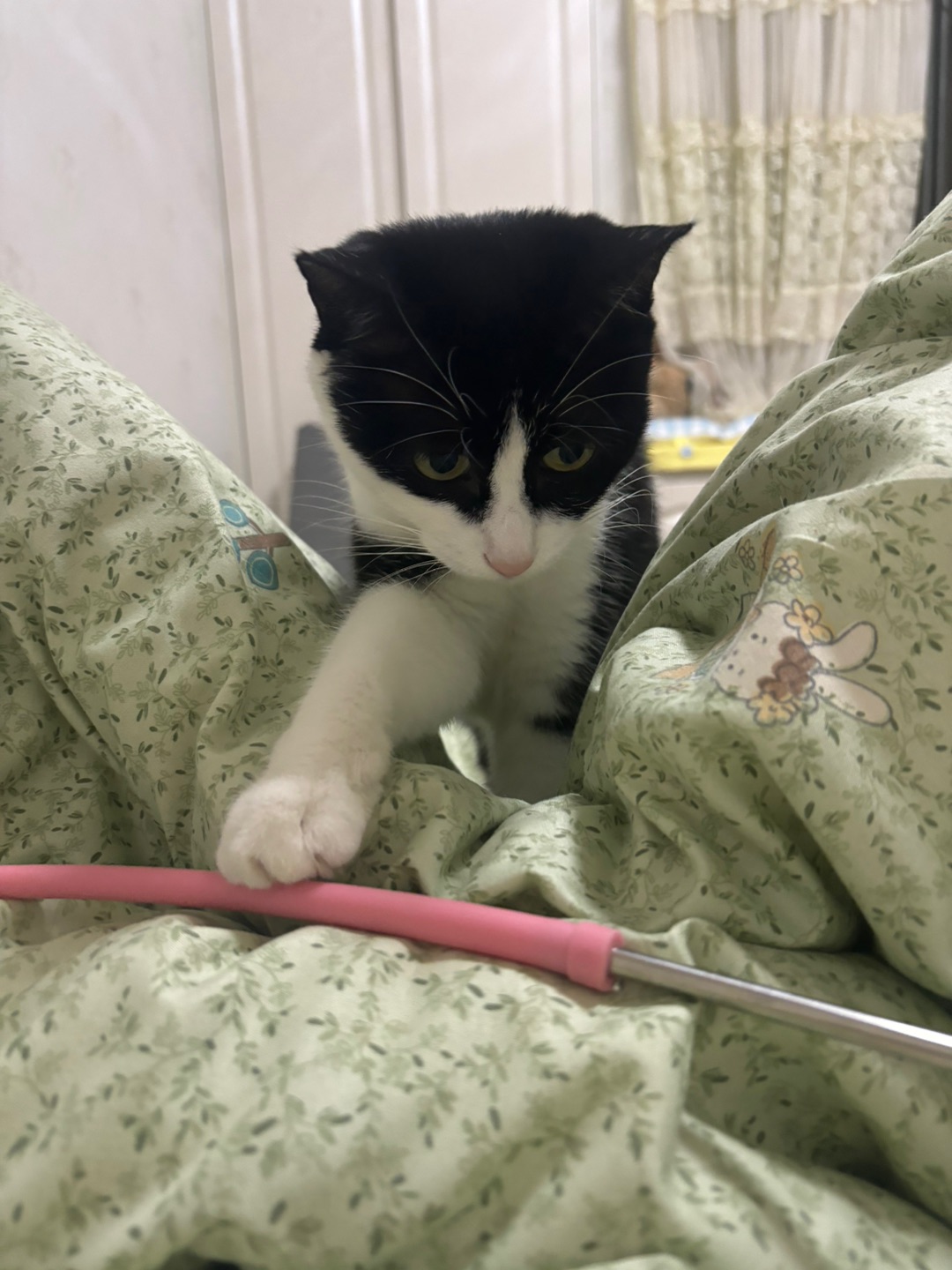 哈哈✌︎˶╹ꇴ╹˶✌︎(*´▽｀)ノノヽ(^0^)ノ(*´▽｀)ノノ