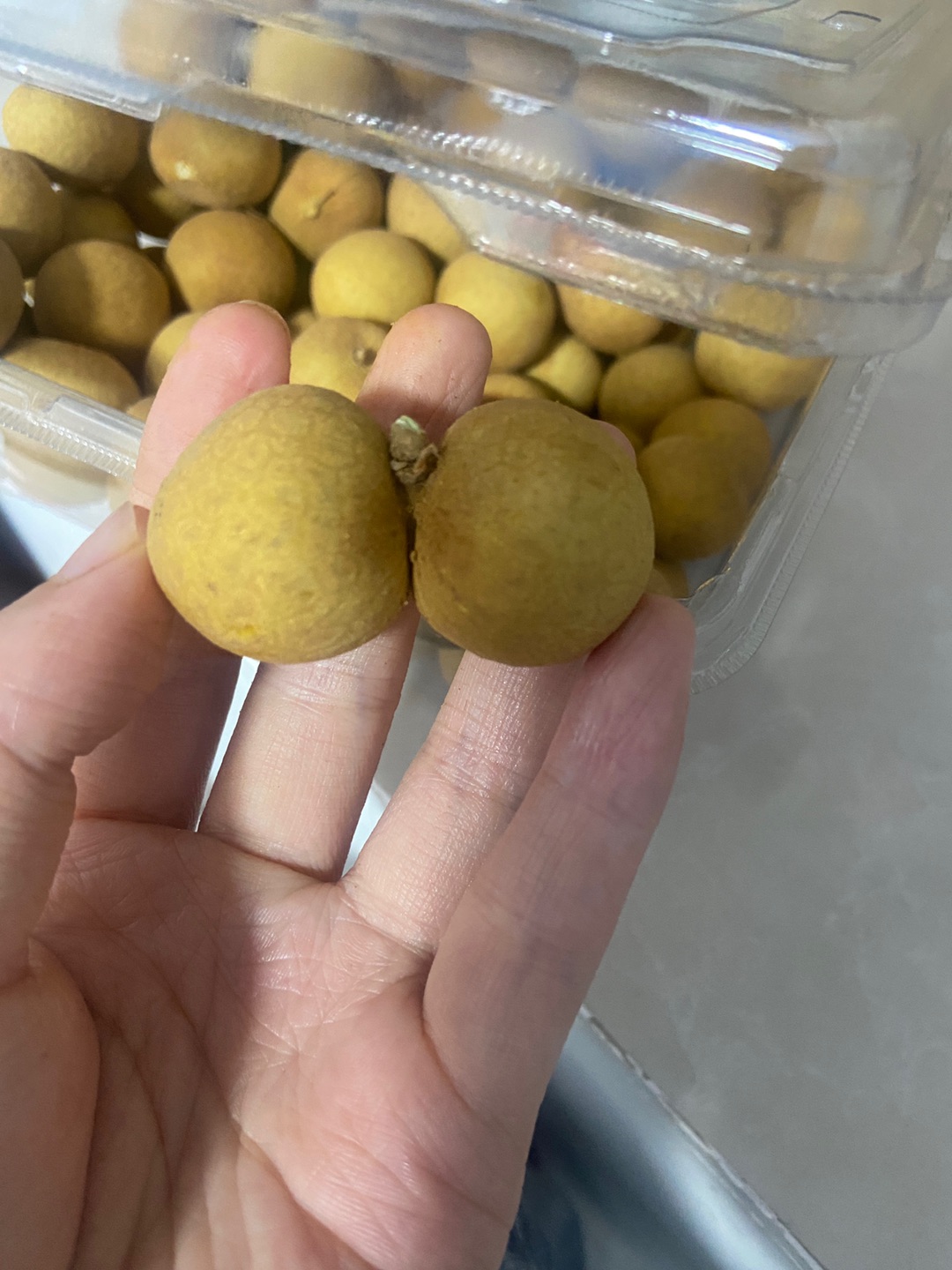 太逗了哈哈哈哈哈