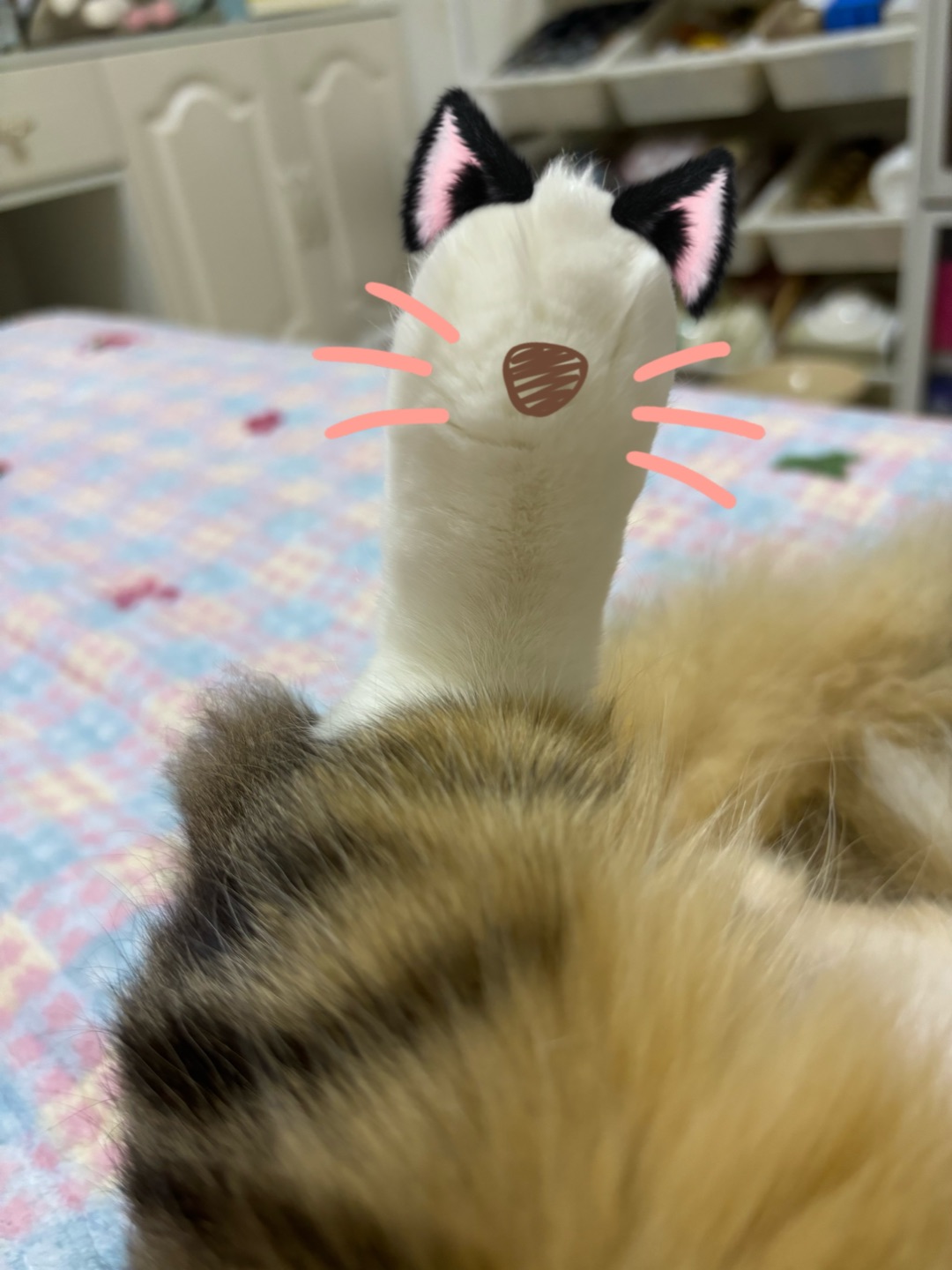 哈哈✌︎˶╹ꇴ╹˶✌︎(*´▽｀)ノノヽ(^0^)ノ(*´▽｀)ノノ