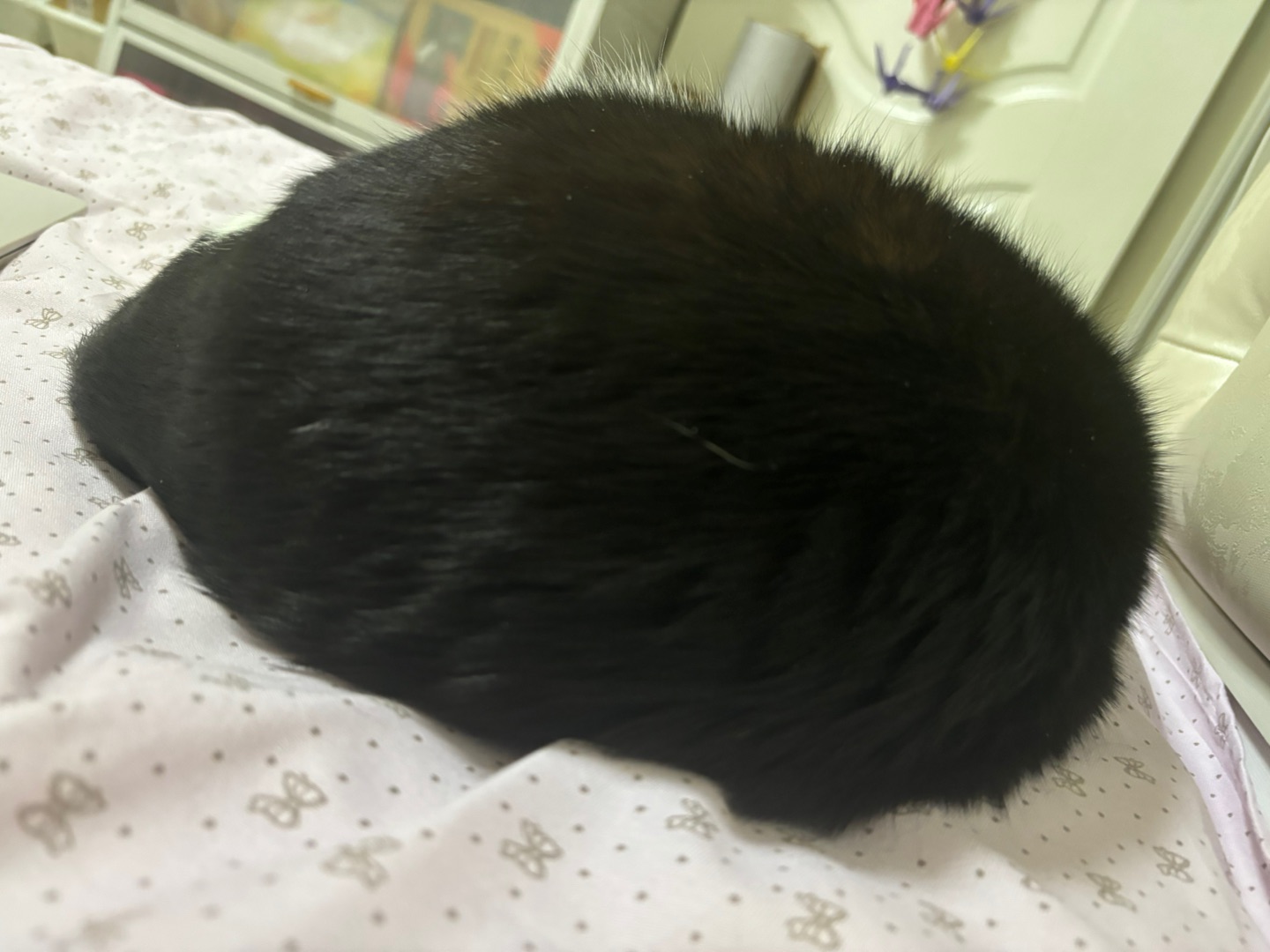 哈哈✌︎˶╹ꇴ╹˶✌︎(*´▽｀)ノノヽ(^0^)ノ(*´▽｀)ノノ