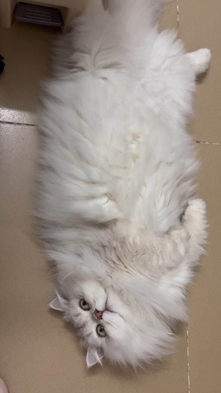 我可以接受她所以的小脾气