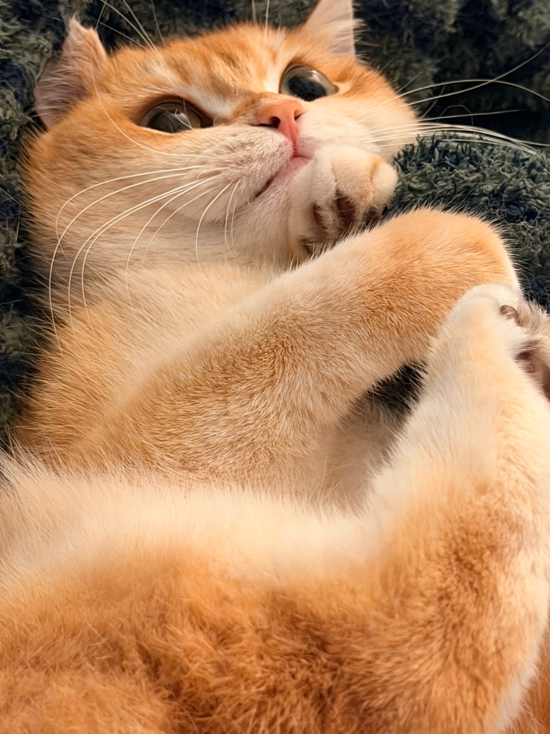 🧡我是麻麻的“人形充电宝”