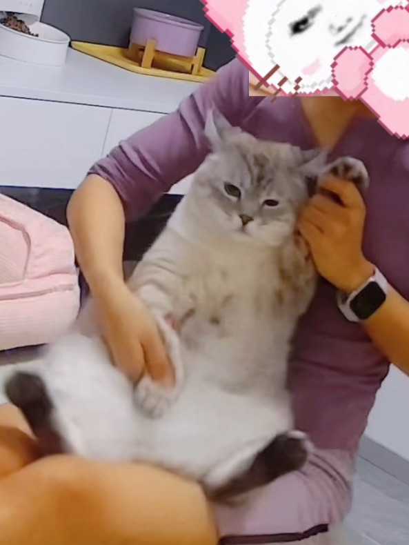 指甲剪high了  劲歌热舞