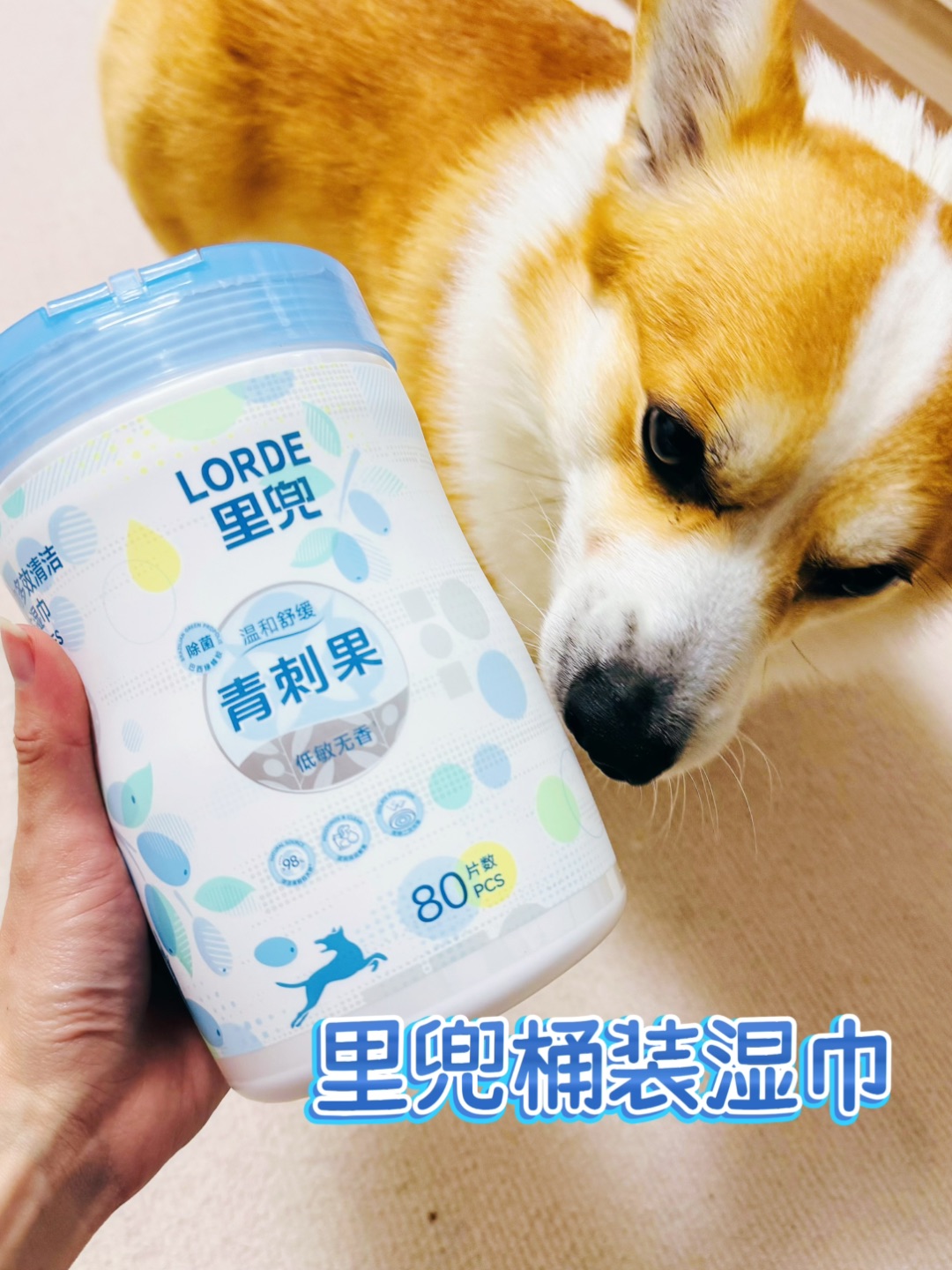 里兜宠物桶装清洁湿巾