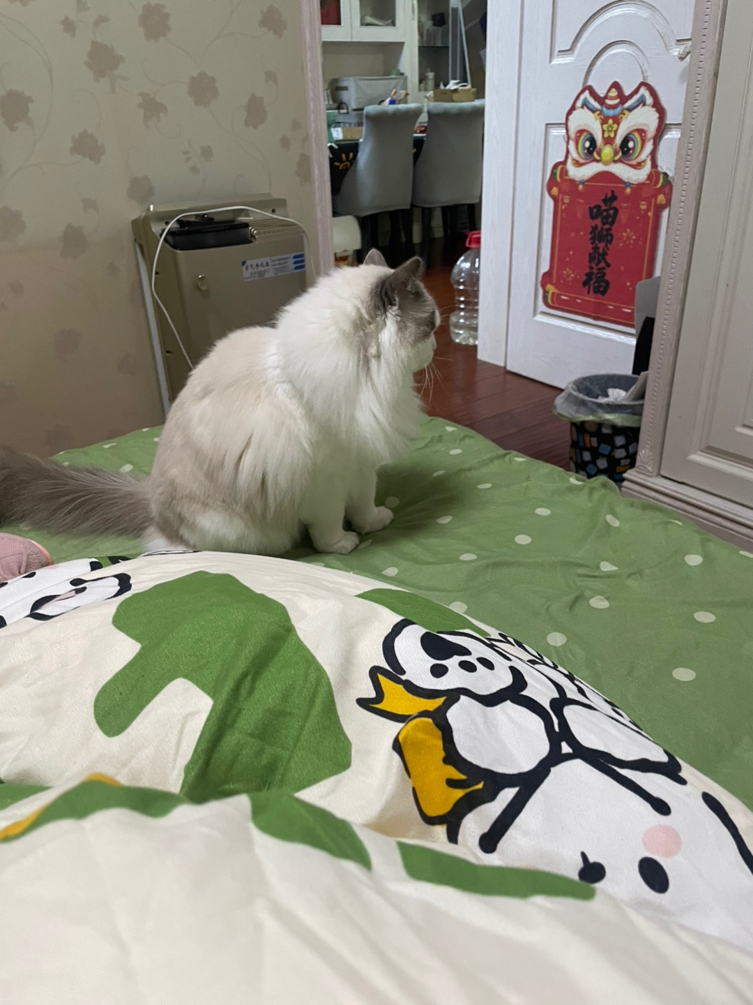 哈哈哈哈哈哈哈哈我笑到头掉哈哈笑得想头掉哈哈哈哈哈哈哈哈哈笑得