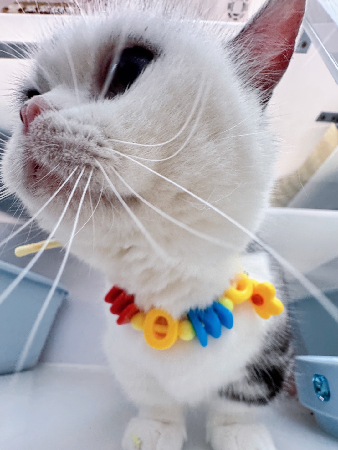 本周当差：你的信，咪回啦