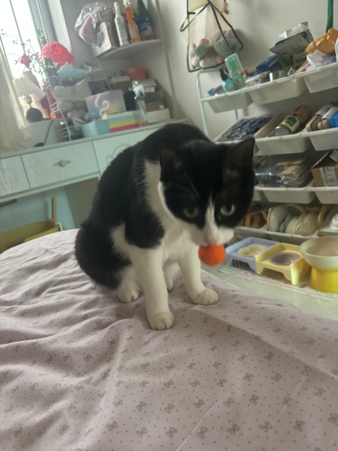 哈哈(^-^)/(*´▽｀)ノノ(*´▽｀)ノノ(^_^)ノ(*´▽｀)ノノ