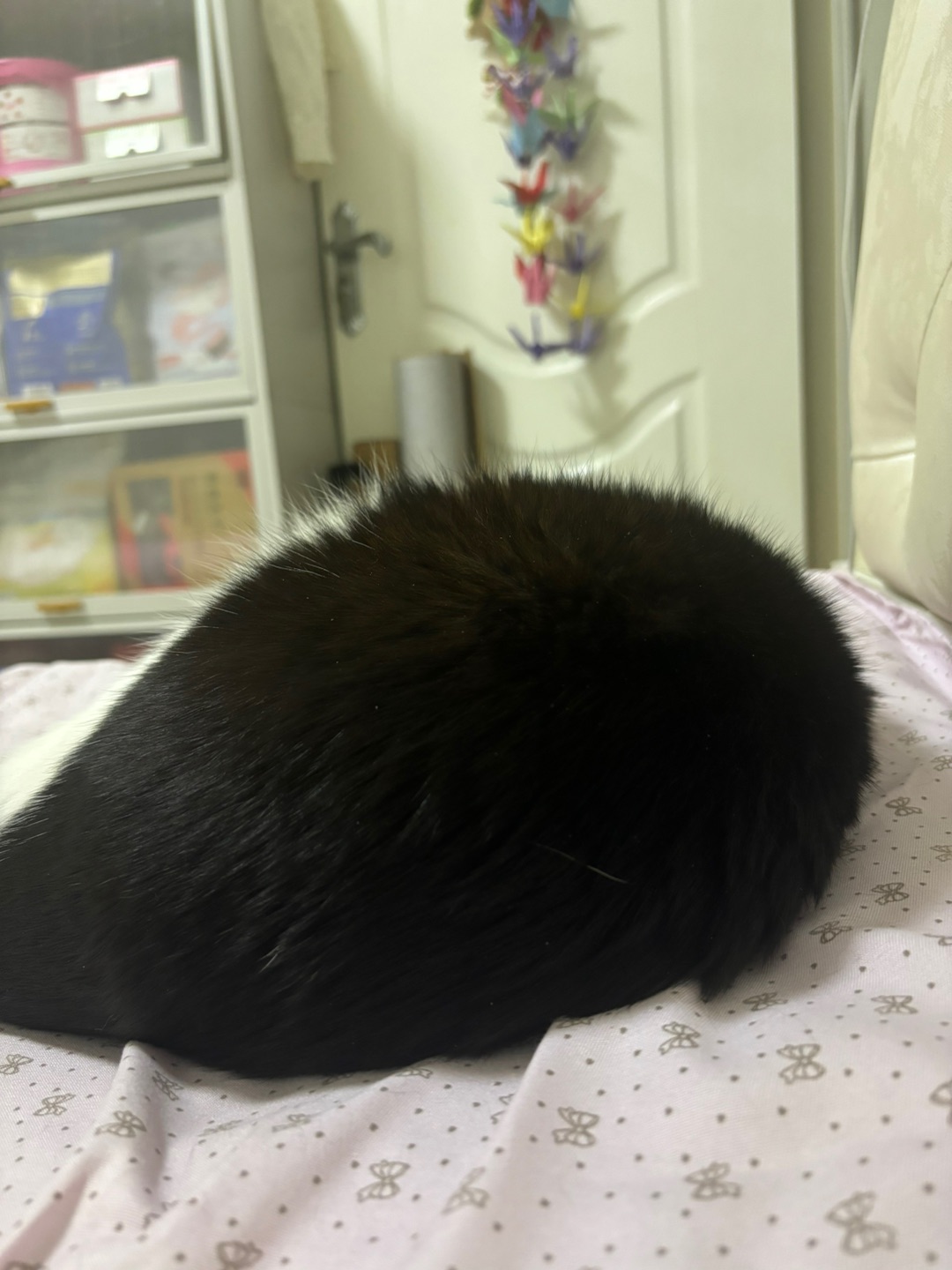 哈哈(^-^)/(*´▽｀)ノノ(*´▽｀)ノノ(^_^)ノ(*´▽｀)ノノ