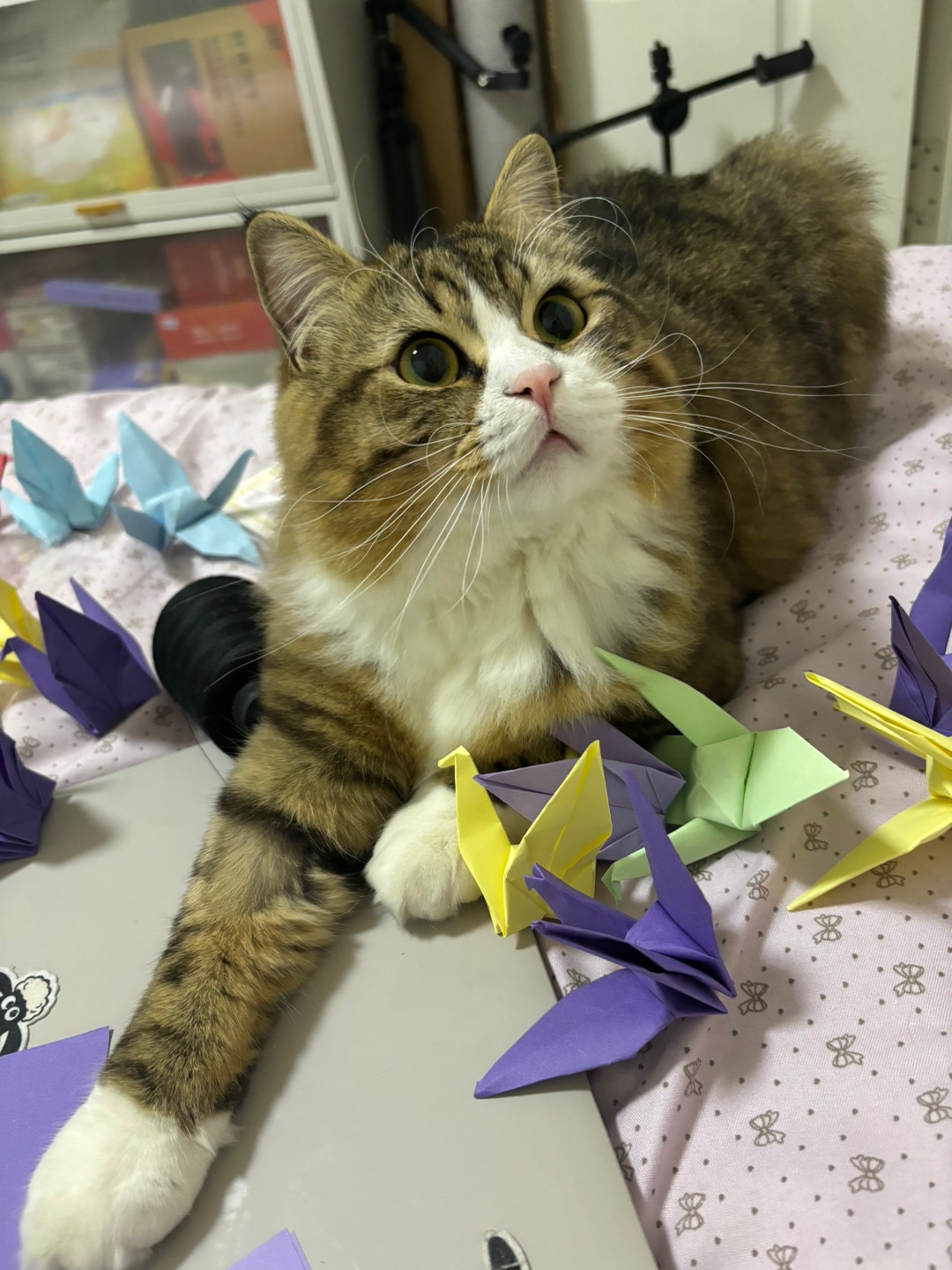 哈哈(^-^)/(*´▽｀)ノノ(*´▽｀)ノノ(^_^)ノ(*´▽｀)ノノ