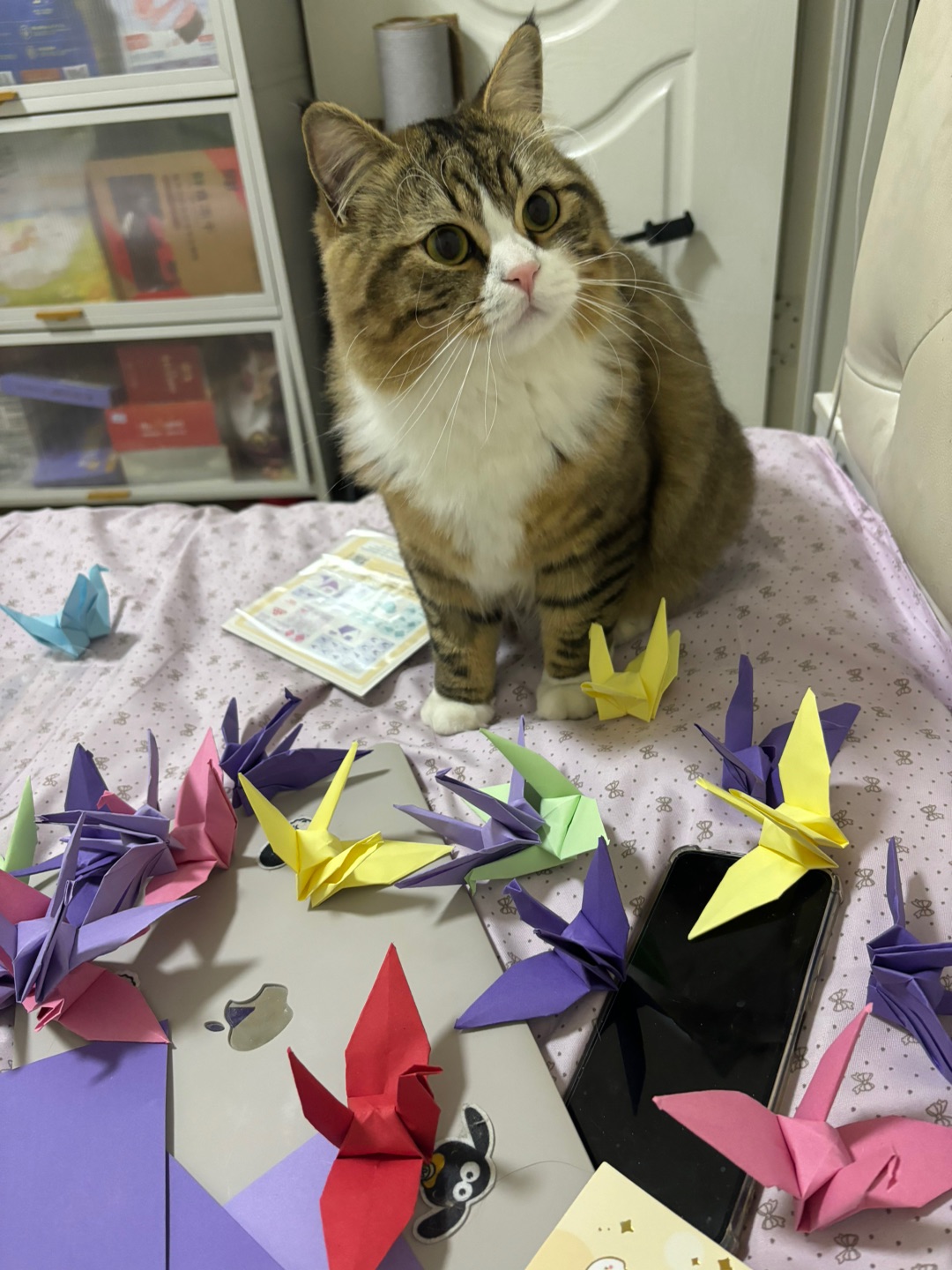 哈哈✌︎˶╹ꇴ╹˶✌︎哈哈  ᖰ⌯'▾'⌯ᖳ哈哈(❁´ω`❁)