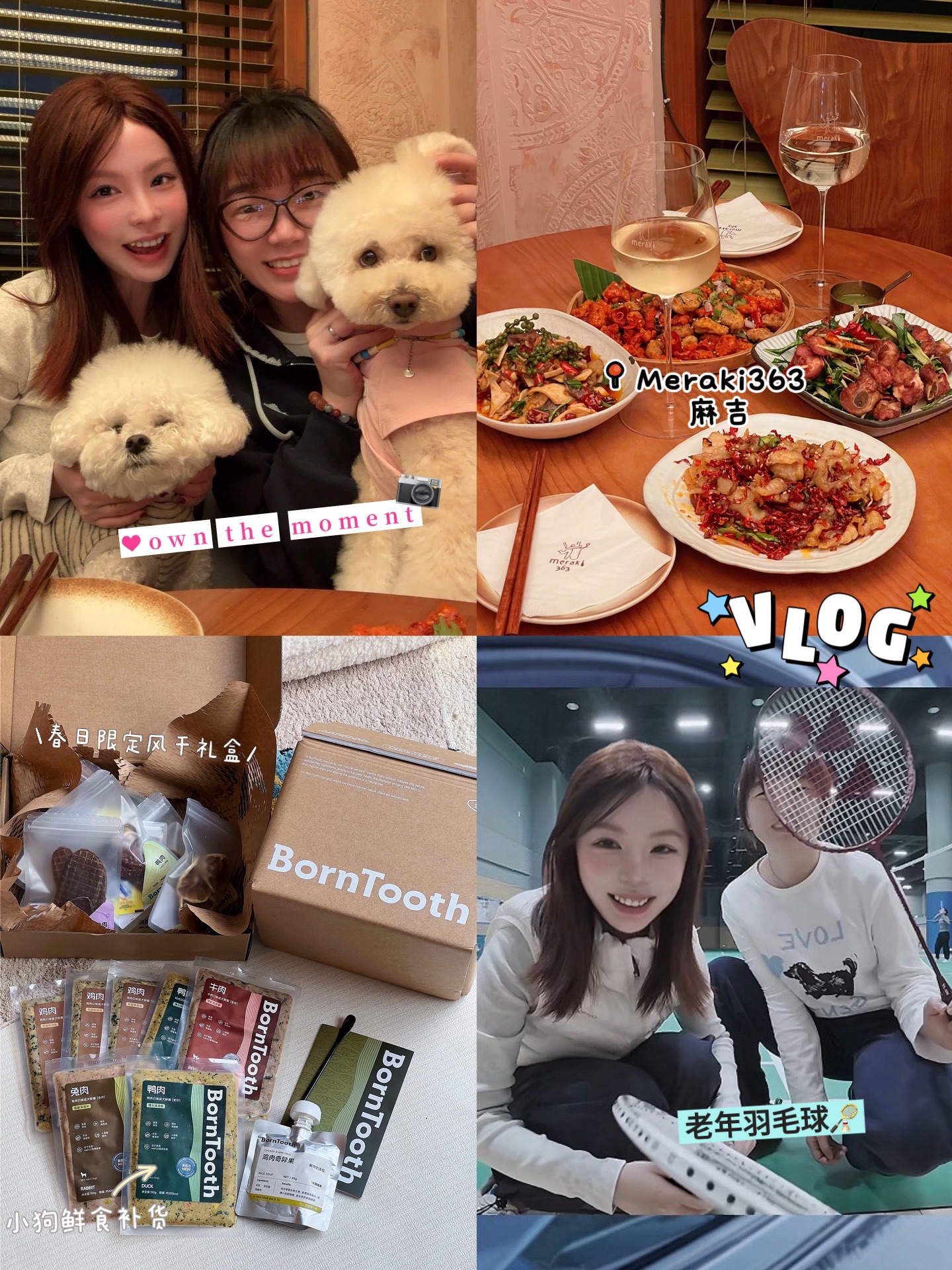 养狗vlog·春天里的幸福二三事🏸️👭🥂