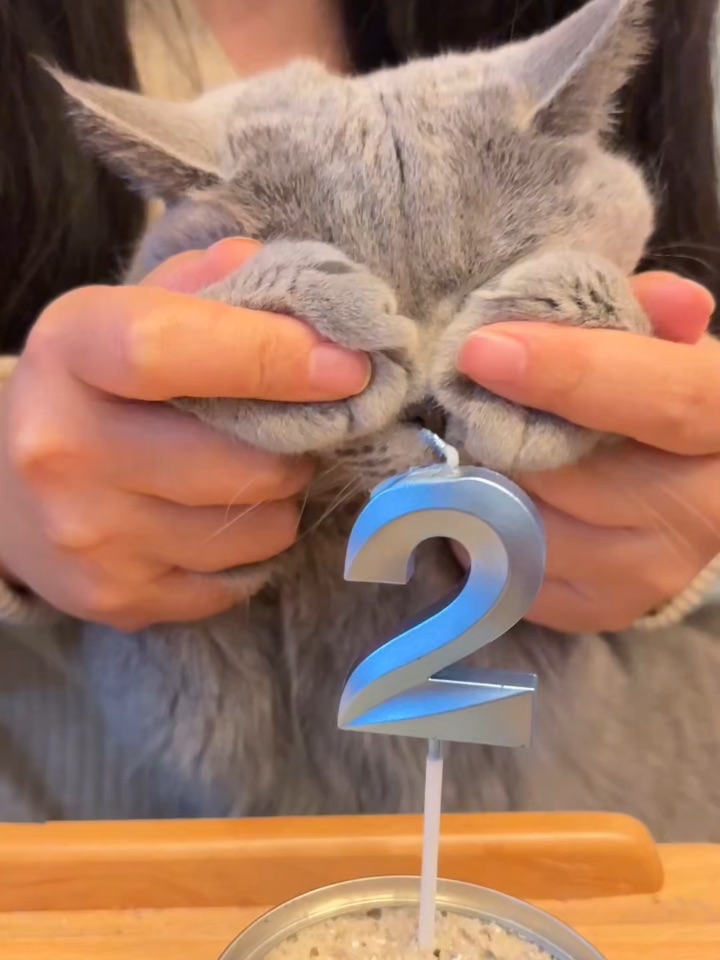 咪两周岁啦