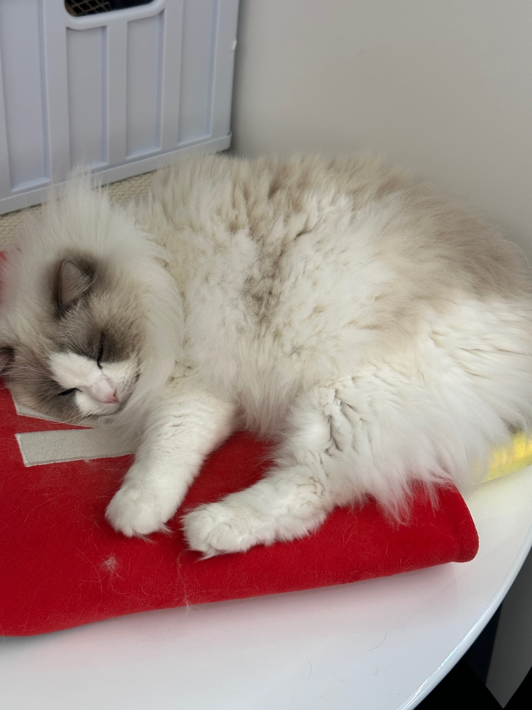 蛤蟆睡姿哈哈哈哈