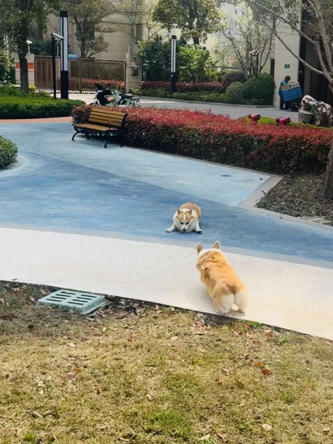 清明节的第二天假期～一起草坪上晒个太阳吧～
