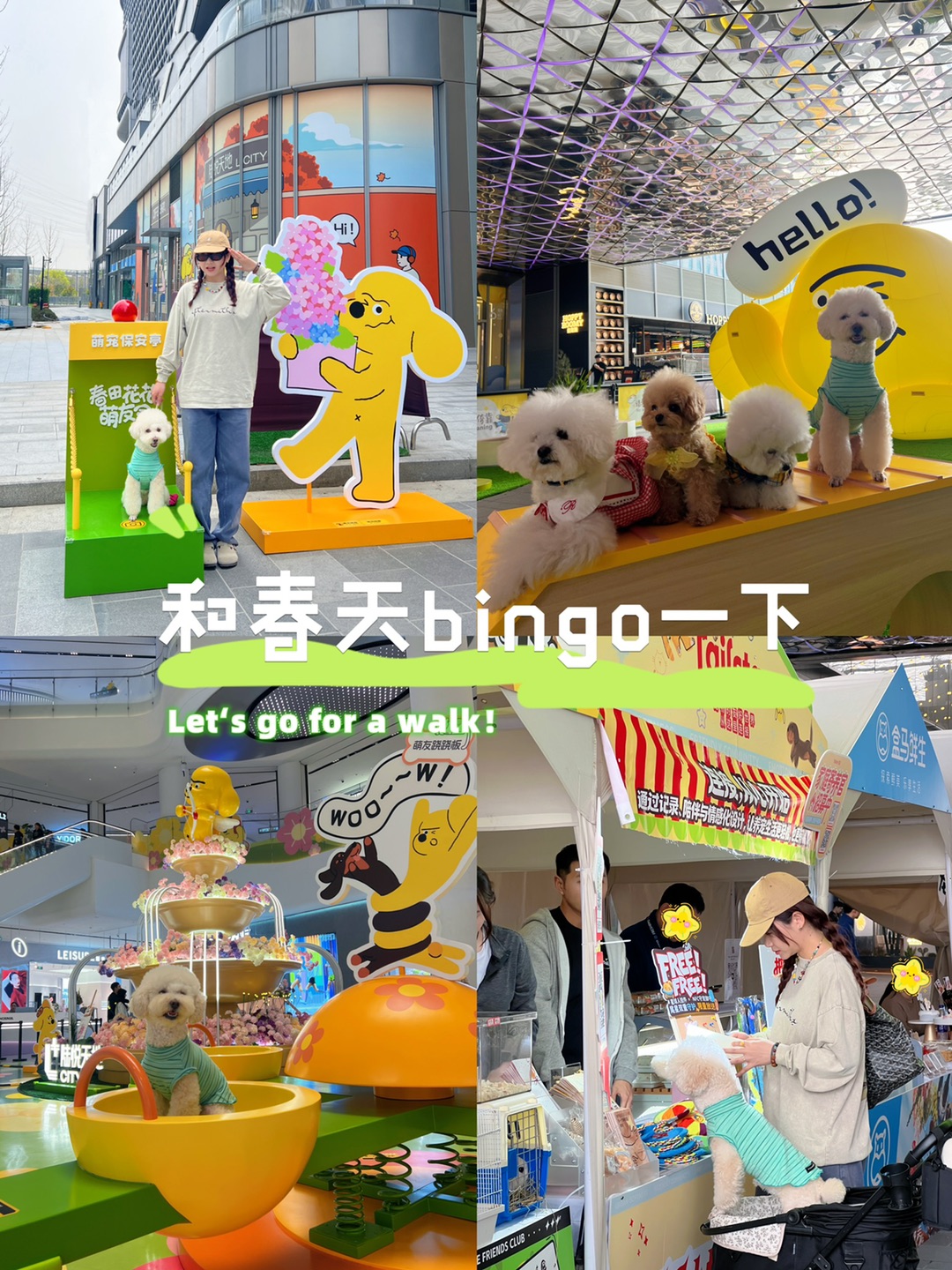 小狗萌集合🎈和春天bingo一下💓