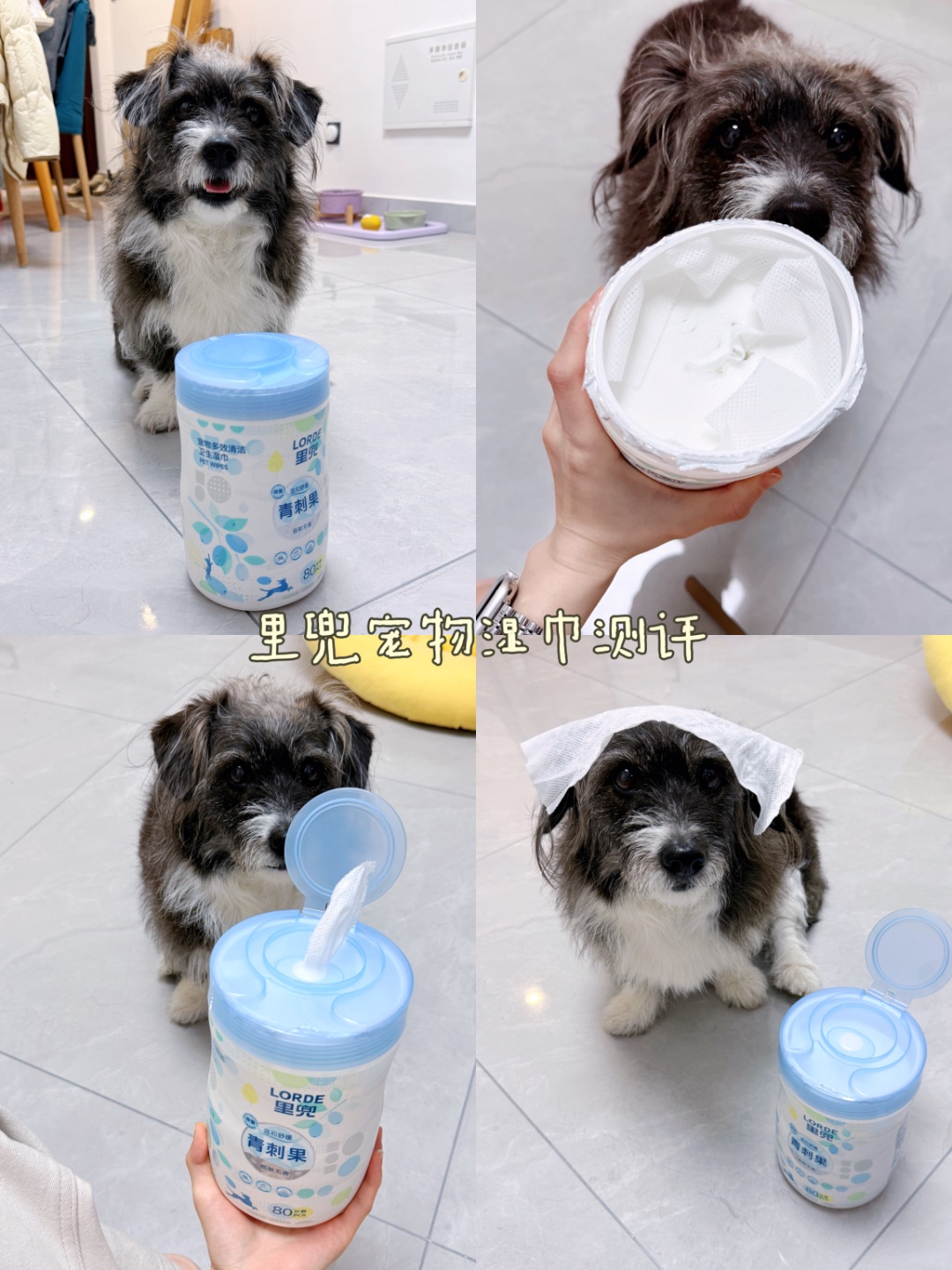 里兜宠物湿巾测评