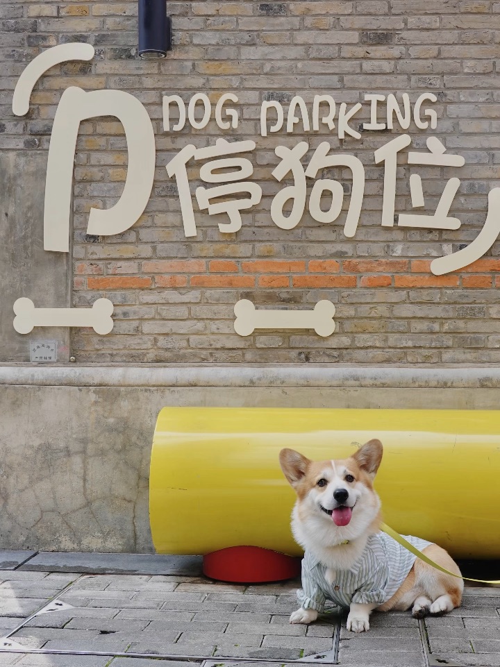 我是小狗！停狗场请有序停狗哟🅿️