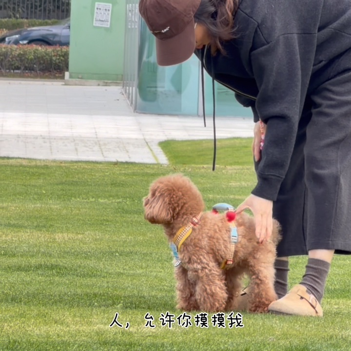 人，允许你摸摸我