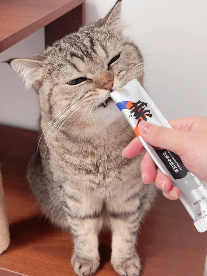哈哈，是小猫咪超爱猫条～ 一拿出来就疯狂蹭腿、喵喵叫的那种！