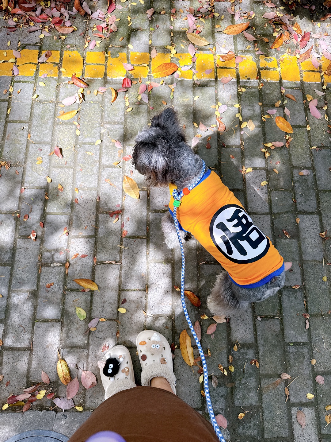 交出你家小狗的清明春游照